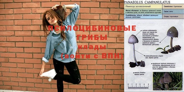 прущая мука Зеленодольск